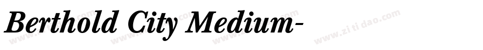 Berthold City Medium字体转换